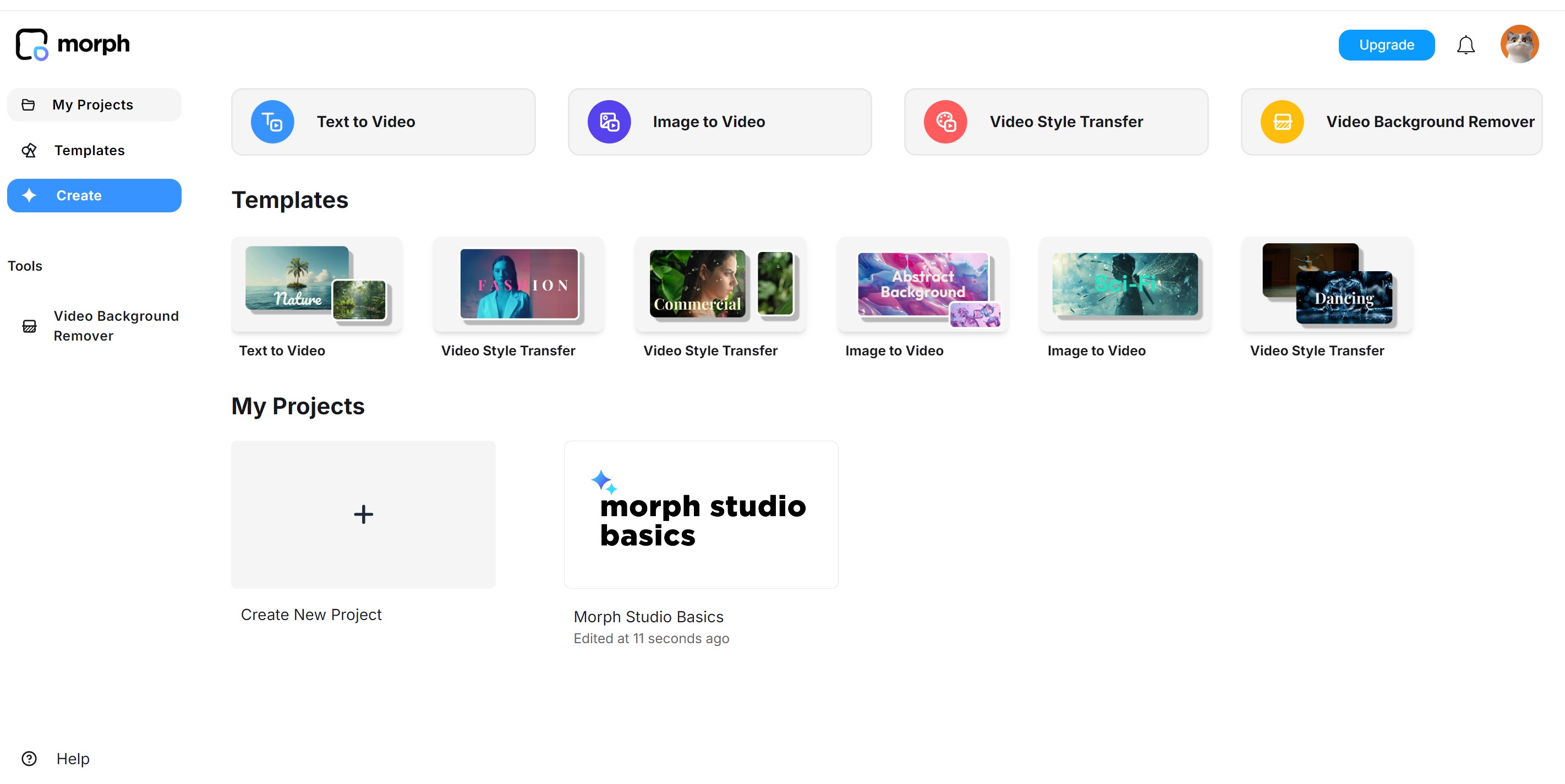 Morph Studio
