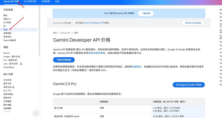 Google AI Studio