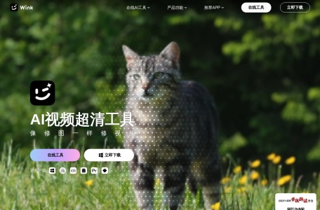 WinkStudio